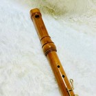 Zen-on 5500b Bass Recorder Good Condition Used With Hard Case