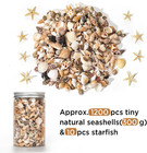 1200 Pcs Natural Seashells   Tiny Sea Shells   Small Starfish For Decorations  M