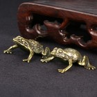 2pcs Solid Brass Frog Copper Figurines Statue Office Garden Ornament Gift