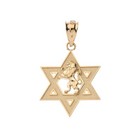 Gold Star Of David With Lion Of Judah Pendant Necklace   Yellow rose white 