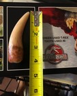 Screen Used Prop T-rex Tooth From Jurassic Park 3