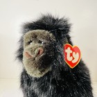 Vintage George The Gorilla Ty 13  Plush Soft Stuffed Animal Toy Retired 1989 Nwt