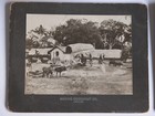 Vtg 1900 Ceylon Cabinet Photograph Paddy Fields Graphite Mine Cocoanut Oil Lot 8