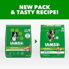 Iams Proactive Health Minichunks Adult Dry Dog Food With Real Chicken  30 Lb