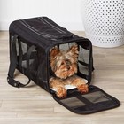 Travel Pet Carrier For Cat Dog Mesh Small Size Soft-sided Black Up To 19 Pounds