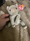 Beanie Babies Lot Toys Kids Mcd Scat Halo Oasis Antsy Maple And More Tag Error