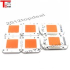 50w Full Spectrum Led Cob Chip Dc12v 32v  Integrated Smart Ic Driver 220v 110v