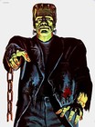 Frankenstein - 27 5  X 72  Huge High Resolution Poster  