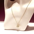 Seashell With Pearl Single Layer Necklace