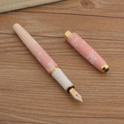 Baoer 83 Metal Fountain Pen   Converter  Pink Spring Blossoms  Fine Point Nib