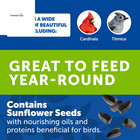 Wild Bird Seed Food - 20 Lb  Wild Bird Seed Food     Premium High Energy Bird Seed