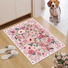  2x3 Rugs For Entryway  Floral Indoor Washable Door Mat  Non Slip Boho Small 