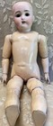 Antique Bisque Doll  136 Rare Incredible Condition  23 1 2    Beautiful 