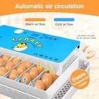 Incubators For Hatching Eggs  Egg Incubator With Automatic Egg Turning And Humid