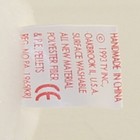 Ty Beanie Baby - Valentino The Bear  pe Pellets Tush Tag   Spelling Error  Mwmts