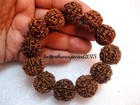 6 Mukhi Rudraksha   Six Face Rudraksh Bracelet  18-20 Mm  nepal Bead  energized