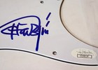 Tommy Chong Signed Electric Guitar Pickguard  jsa Coa 