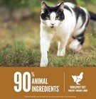 Orijen Original Cat Food  Grain-free Dry Formula For All Life Stages 4lb Bag