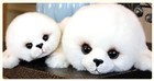 Animal World Soft Cute Sea Lion Plush Toy Stuffed Doll Big Eye Kids Girls Gift