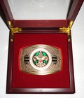 Boy Scouts Of America 1910-2018 Beautiful Commemorative Belt Buckle With Case