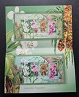 Australia-singapore Joint Issue Mini-sheet Stamp Set  1998 Orchid Flowers  Mnh