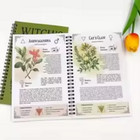 Witch s Herbal Codex - Magical Herb Guide Book Occult Pagan Witchcraft Reference