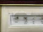 Fly Fishing Flies In Shadow Box Signed Tony - 4 Flies  read 