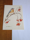 Bluebird 2 Vintage Christmas Cards Albert Gilbert Al Nat Audubon Society Unused