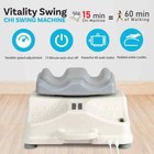 Daiwa Felicity Chi Vitalizer Swing Machine Deluxe  Vitality Exerciser Speed Ctrl