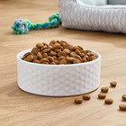 Grain-free Salmon   Pea Recipe Dry Dog Food  24 Lbs