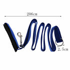 Pet Dog Instant Trainer Puppy Leash Rope Walking Training 30 Lbs Stop Pulling
