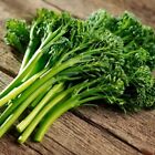 Broccolini Seeds For Planting - Broccoli Aspabroc