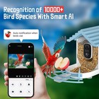 Smart Bird Feeder With Camera  Ai Bird Species Recognition  1080p Hd Real-tim   