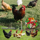 100 Pcs Adjustable Poultry Leg Bands  5 Color Numbered Chicken Identification   