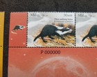 Malaysia Nocturnal Animals 2008 Bat Wildlife Cat  stamp  Mnh  p000000  vip  rare