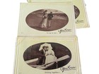 Six Antique You Know Photo Post Cards Ephemera