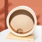 Small Animals Exercise Wheel Small Pet Wheel Toy Wooden Running Wheel