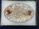 Civil War Us Cartridge Box Plate Dug Excellent Condition - Richmond  Va Lc26