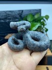 1pc  Natural Yooperlite Quartz Crystal Carved Snake Skull Reiki Healing Decor