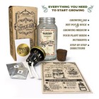 Micro Tim Cherry Tomato Kit Mason Jar Hydroponic Indoor Garden Planter