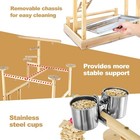 Natural Wood Parrot Playstand With Perches Bird Play Gym Equipment