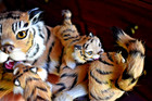 Vintage 10  Tiger   Cubs Real Fur Figurine Taxidermy Style Collectors Figure