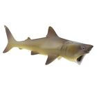 Basking Shark Animal Figurine Safari Ltd  Toy Sea Life Collection