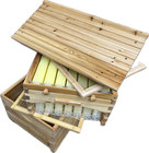 Beekeeping 2 Box Full Kit 1x Brood 1x Auto Seep Honey Super Beehive Frame Waxed