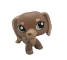 Littlest Pet Shop 1751 Lps Mocha   Tan Accented Dachshund Dog Teal Eyes Rare New