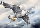 Graceful Flight  Watercolor Painting Print Of A Flying Gull 5 x7 