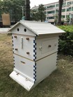 Painted Wooden Auto Beehives Honey Beehive Bee Boxes House  7 Beekeeping Frames