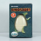 4 Pack Inflatable Dinosaur Baby Raptor  Brachiosaurus  Tyrannosaurus  Triceratop