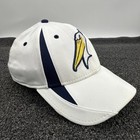 Oc Sports Myrtle Beach Pelicans Minor League Baseball Cap Hat  Men   s Fitted M l