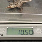 Vintage Orient Dancing Figure Sterling Silver Brooch Pin